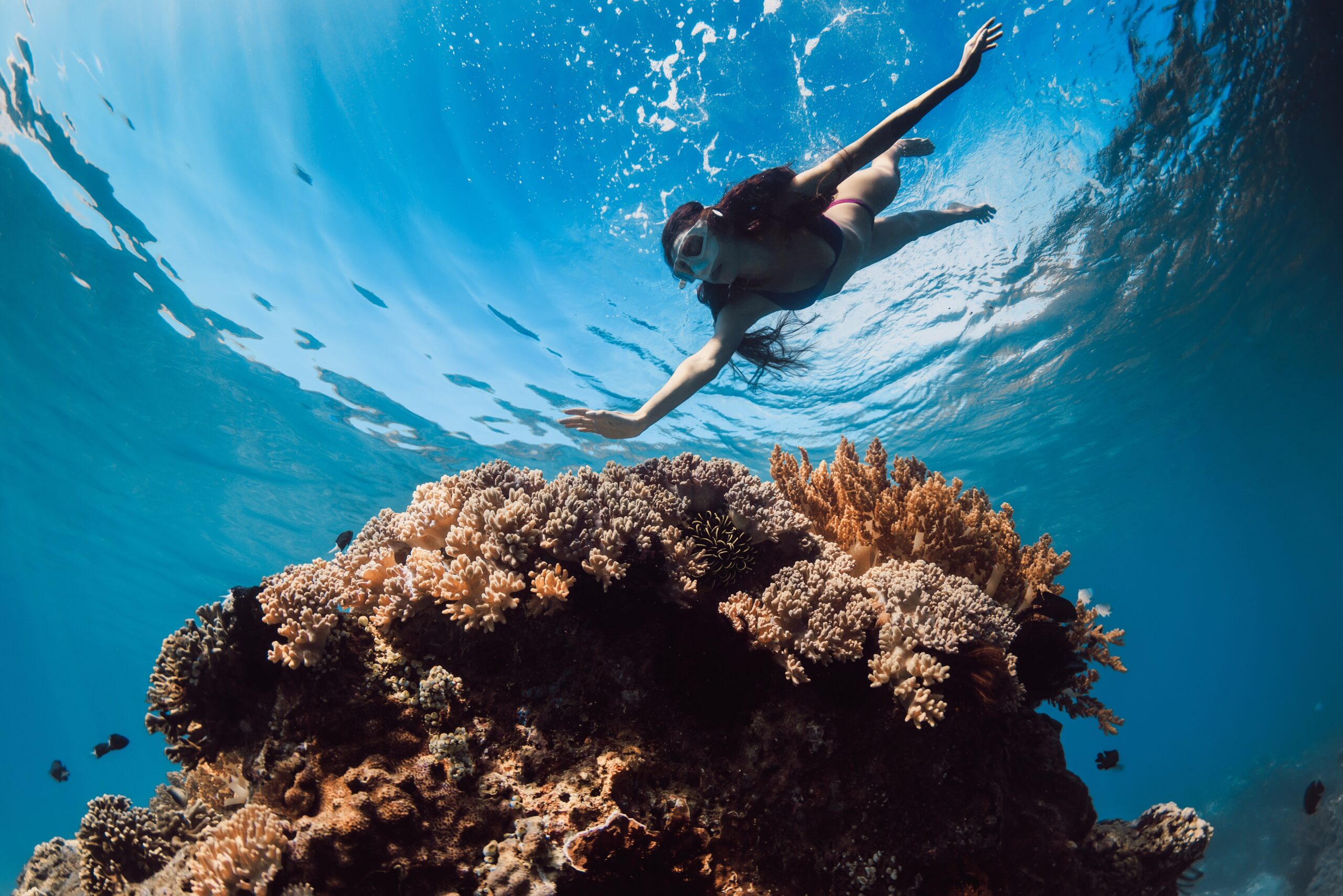 Image for the article: Belize Barrier Reef: A Complete Guide for Yachting and Snorkeling